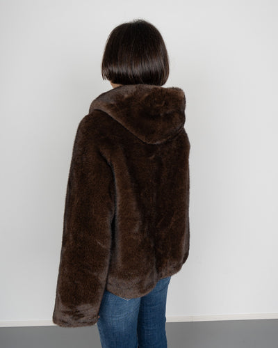 PELLICCIA LENA TESTA DI MORO