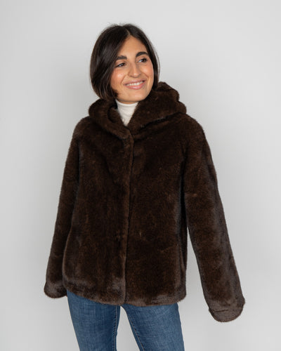 PELLICCIA LENA TESTA DI MORO