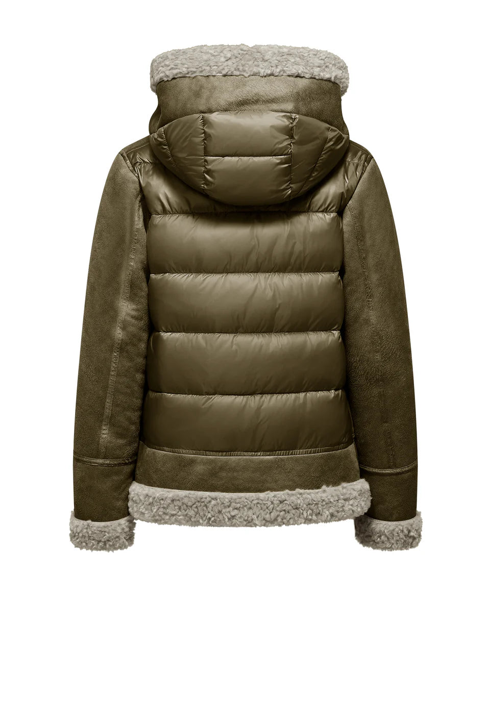 MONTONE ANDREA VERDE